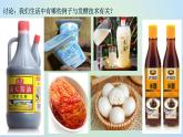 9.25.1发酵技术 课件 北师大版生物八年级下册