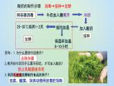 9.25.1发酵技术 课件 北师大版生物八年级下册