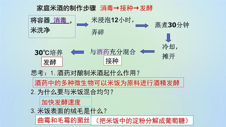 9.25.1发酵技术 课件 北师大版生物八年级下册07