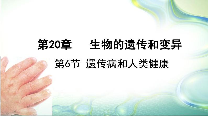 20.6 遗传病和人类健康课件八年级生物上册（北师大版）01