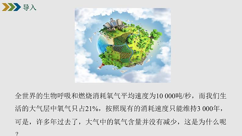 七年级人教版生物上册3.5.1光合作用吸收二氧化碳释放氧气课件02