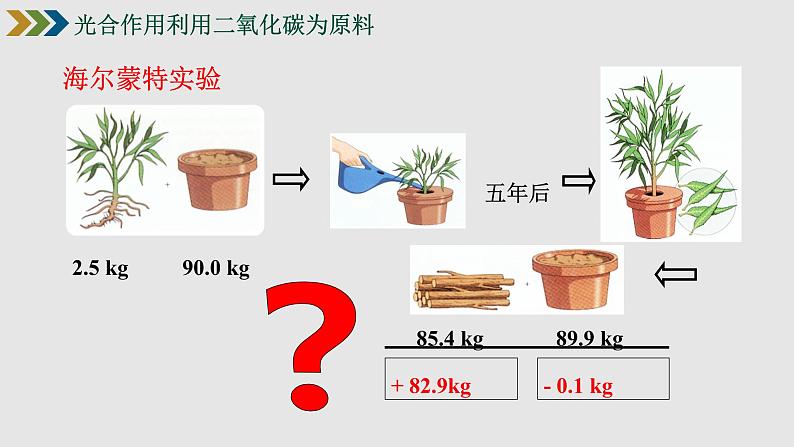 七年级人教版生物上册3.5.1光合作用吸收二氧化碳释放氧气课件04