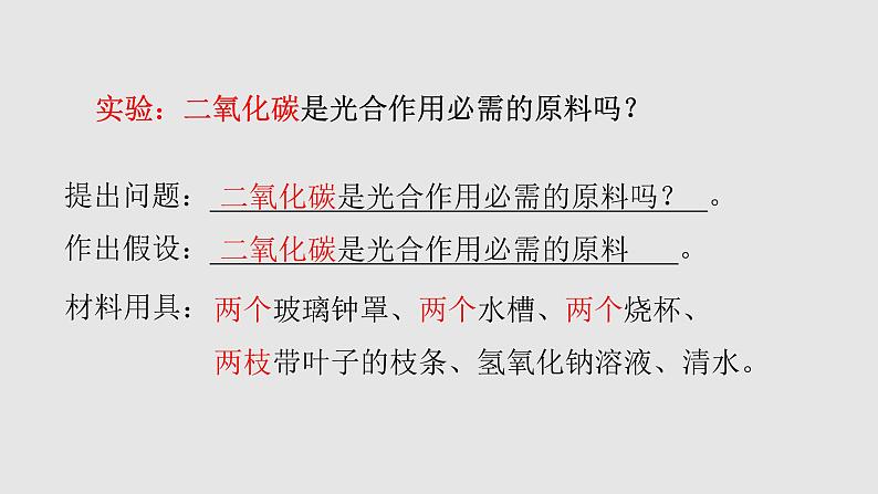 七年级人教版生物上册3.5.1光合作用吸收二氧化碳释放氧气课件08