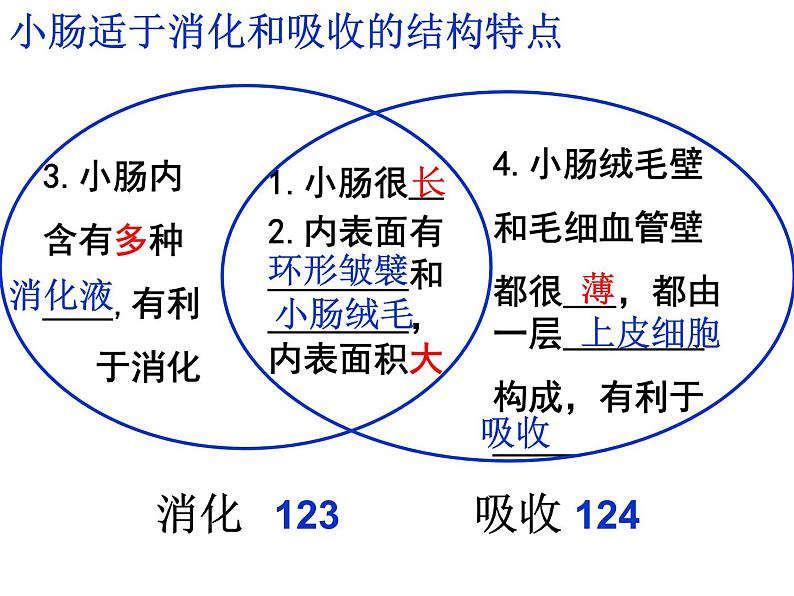 第三章人体的呼吸 复习课件2023-2024学年鲁科版生物七年级上册02