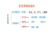 19.2 生态系统的能量流动和物质循环 课件-2023-2024学年苏教版生物八年级上册