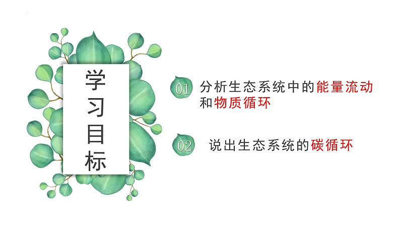 19.2 生态系统的能量流动和物质循环 课件-2023-2024学年苏教版生物八年级上册04