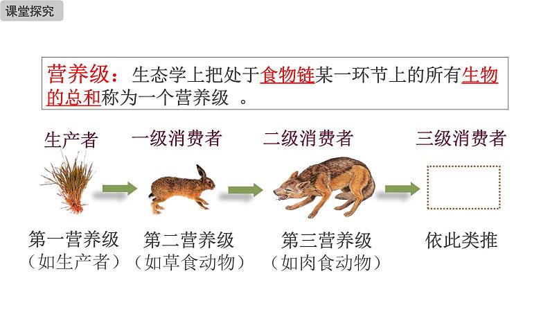 19.2 生态系统的能量流动和物质循环 课件-2023-2024学年苏教版生物八年级上册06