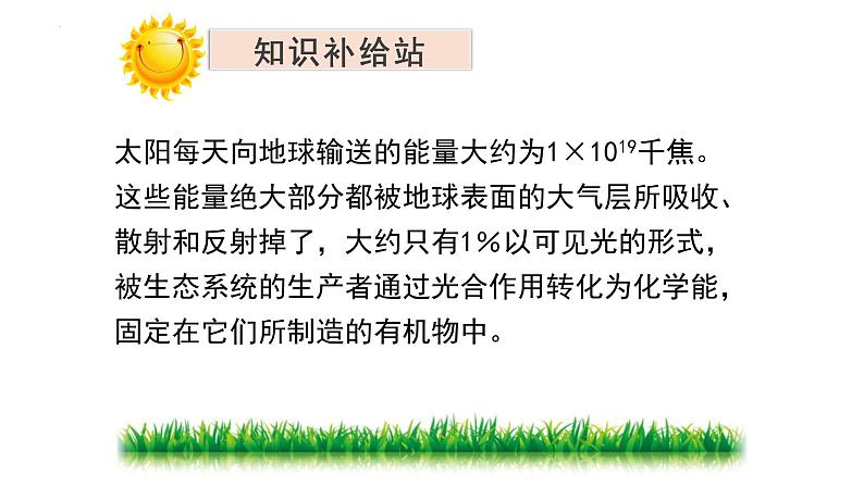 19.2 生态系统的能量流动和物质循环 课件-2023-2024学年苏教版生物八年级上册08