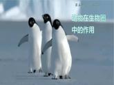 第三章 动物在生物圈的作用 课件2023--2024学年八年级生物上册