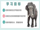 第三章 动物在生物圈的作用 课件2023--2024学年八年级生物上册