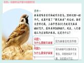 第三章 动物在生物圈的作用 课件2023--2024学年八年级生物上册