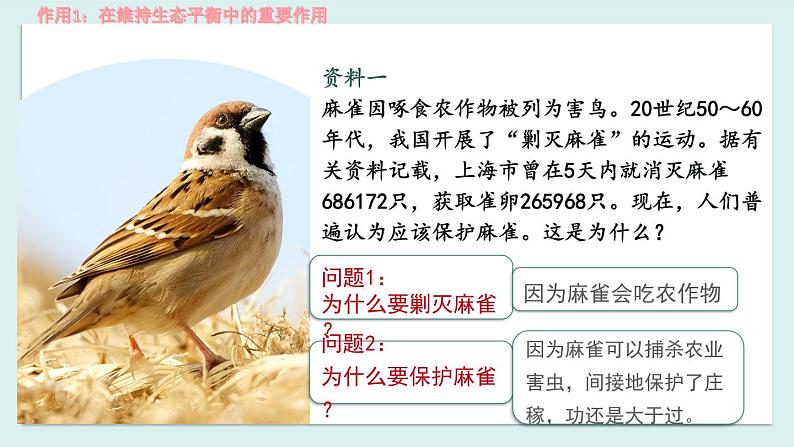 第三章 动物在生物圈的作用 课件2023--2024学年八年级生物上册第5页