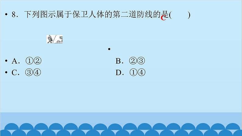 人教版八年级生物 第8单元测试卷课件07