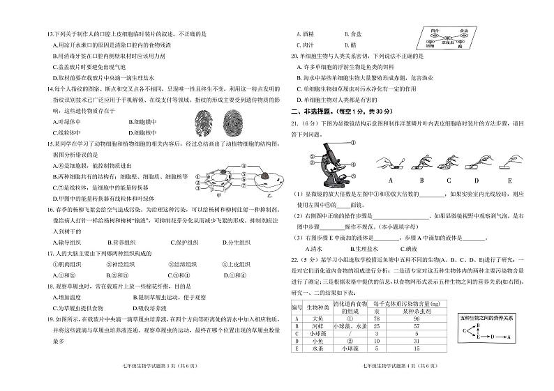 乾安县2023—2024学年度第一学期期中教学质量检测  七年生物试卷(含答案)第2页