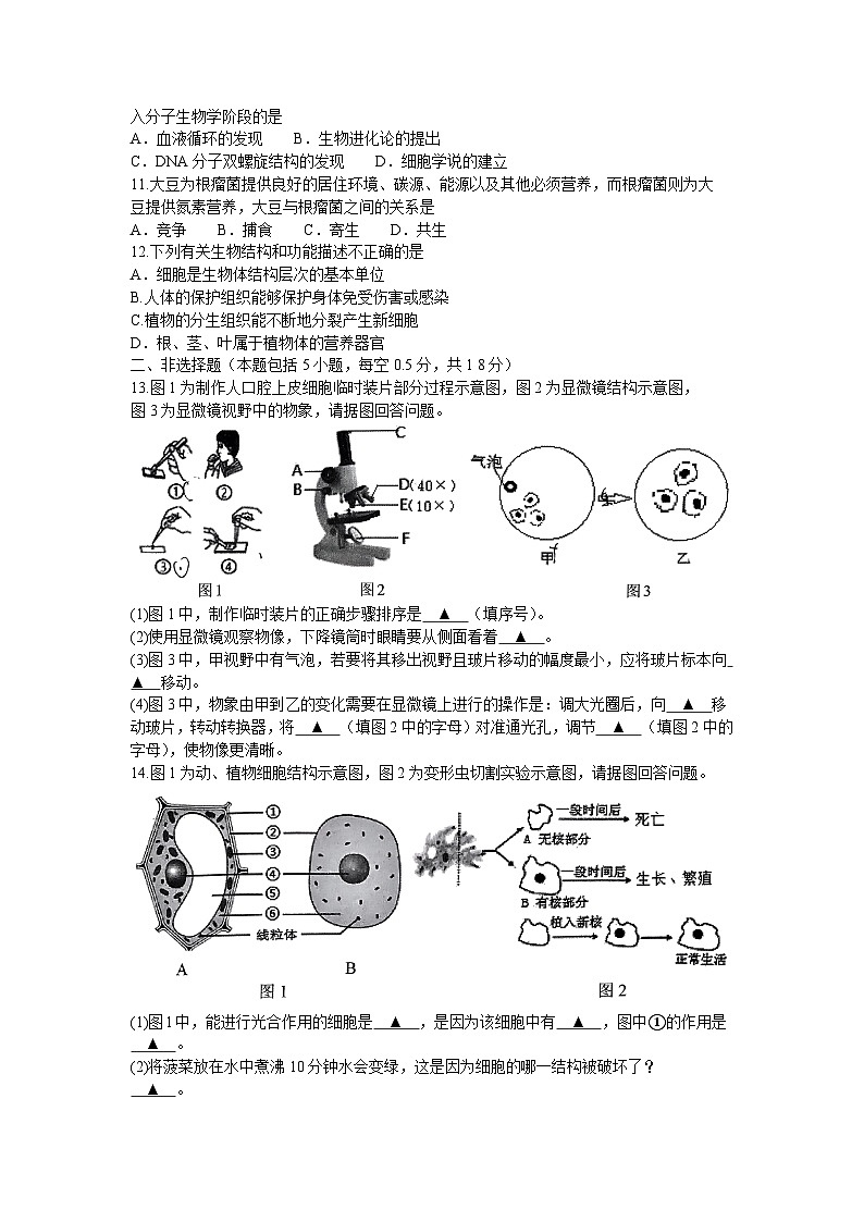辽宁省抚顺市多校联考2023-2024学年七年级上学期期中生物试题02