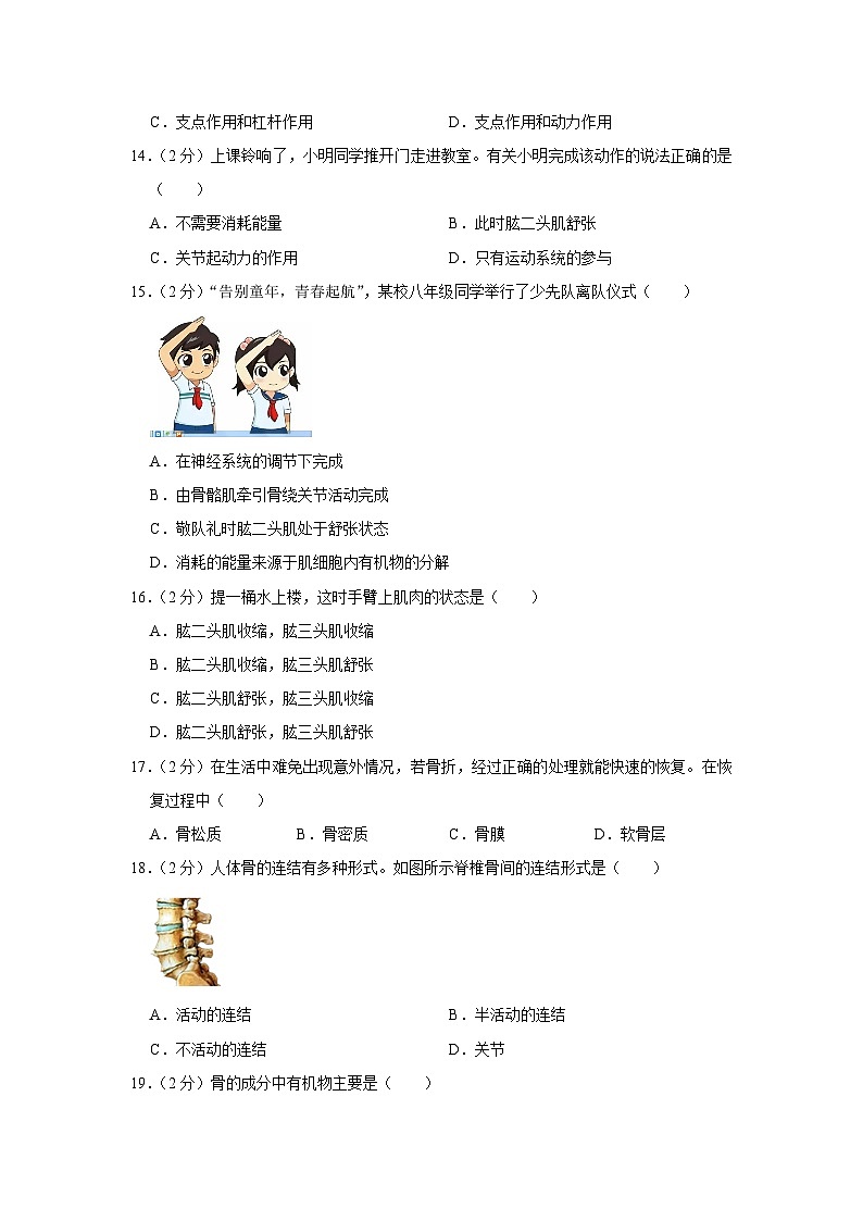 广东省湛江市廉江市良垌中学2023-2024学年八年级上学期月考生物试卷（10月份）03
