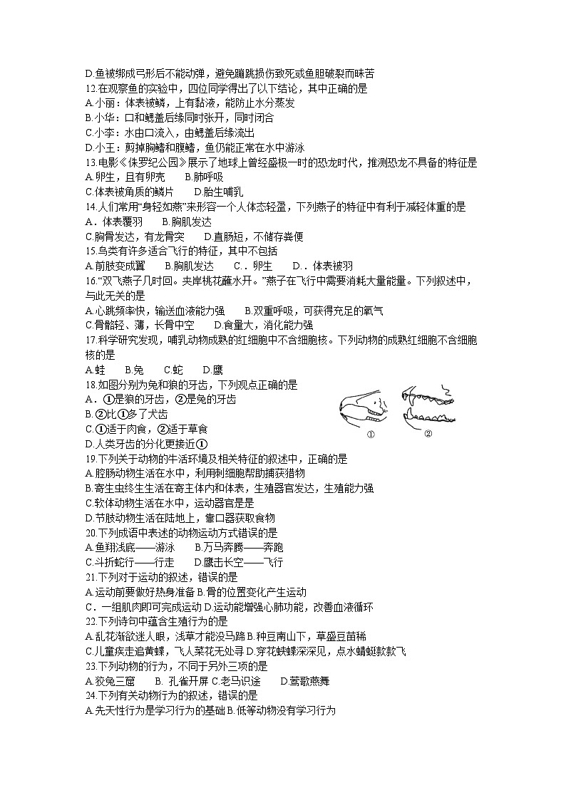 广东省茂名市高州十二校联考2023-2024学年八年级上学期期中生物试题02