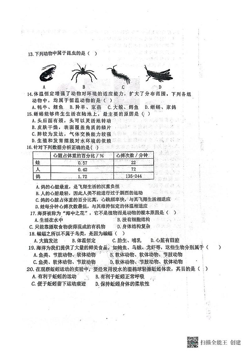天津市西青区杨柳青第三中学2023-2024学年八年级上学期期中生物试题第2页