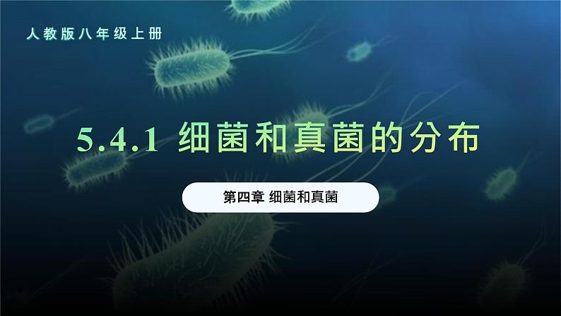 5.4.1 细菌和真菌的分布课件 人教版生物八年级上册04