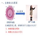 2.2.1细胞通过分裂产生新细胞课件 人教版生物七年级上册