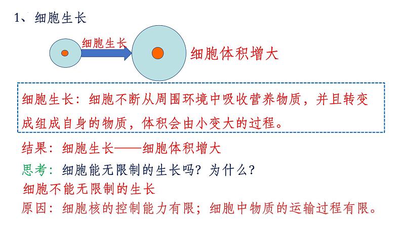 2.2.1细胞通过分裂产生新细胞课件 人教版生物七年级上册08