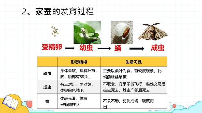 7.1.2 昆虫的生殖和发育课件 人教版生物八年级下册07