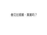 5.4.1细菌和真菌的分布课件 人教版生物八年级上册