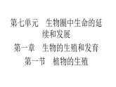 人教版生物八年级下册7.1.1植物的生殖课件