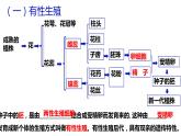 人教版生物八年级下册7.1.1植物的生殖课件
