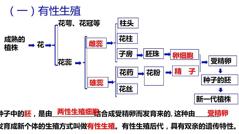 人教版生物八年级下册7.1.1植物的生殖课件05