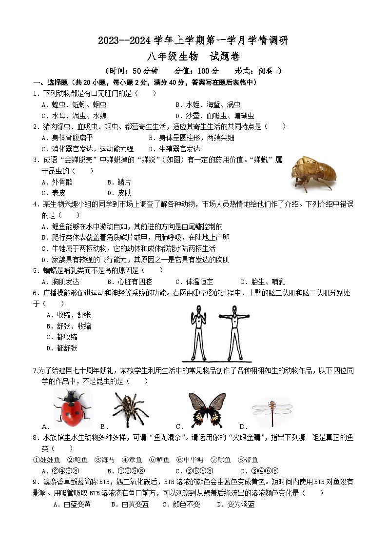 河南省郑州市郑东新区玉溪初级中学2023-2024学年八年级上学期第一次月考生物试题01