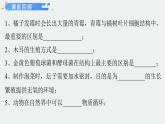 5.4.4细菌真菌在自然界的作用课件 人教版生物八年级上册