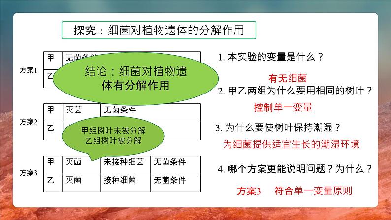 5.4.4细菌真菌在自然界的作用课件 人教版生物八年级上册第7页