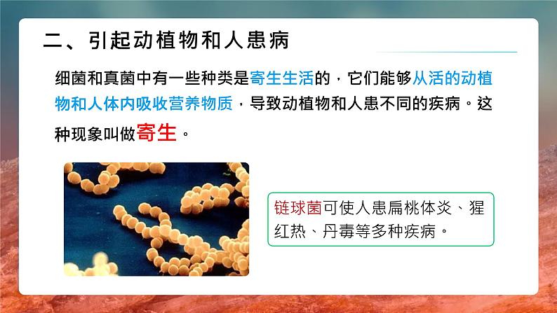 5.4.4细菌真菌在自然界的作用课件 人教版生物八年级上册第8页