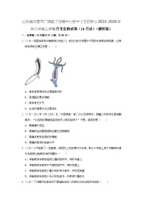 山东省东营市广饶县丁庄镇中心初中（五四制）2023-2024学年八年级上学期10月份月考生物试卷