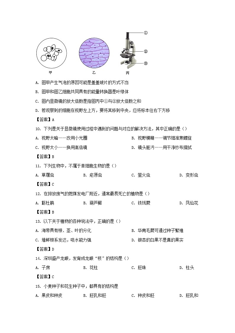 2022-2023学年广东深圳罗湖区七年级上册期末生物试卷及答案第3页