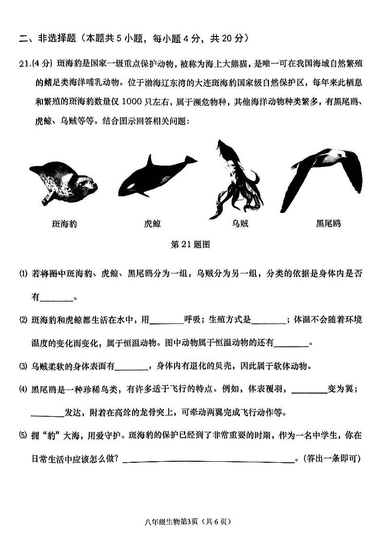 辽宁省大连市甘井子区2023-2024学年八年级上学期11月期中生物试题03