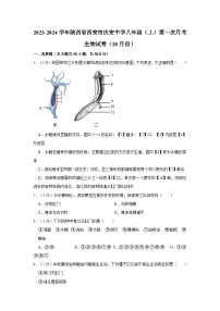 陕西省西安市庆安中学2023-2024学年八年级上学期10月份月考生物试卷