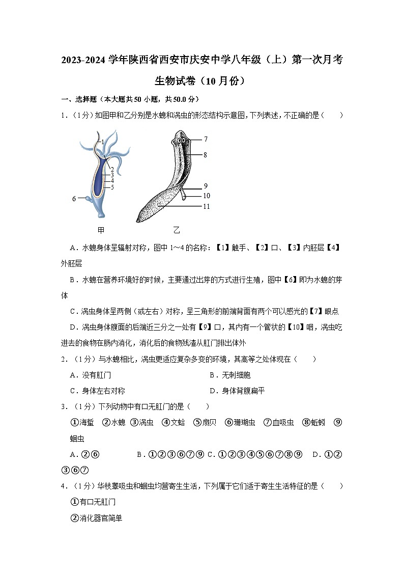 陕西省西安市庆安中学2023-2024学年八年级上学期10月份月考生物试卷第1页