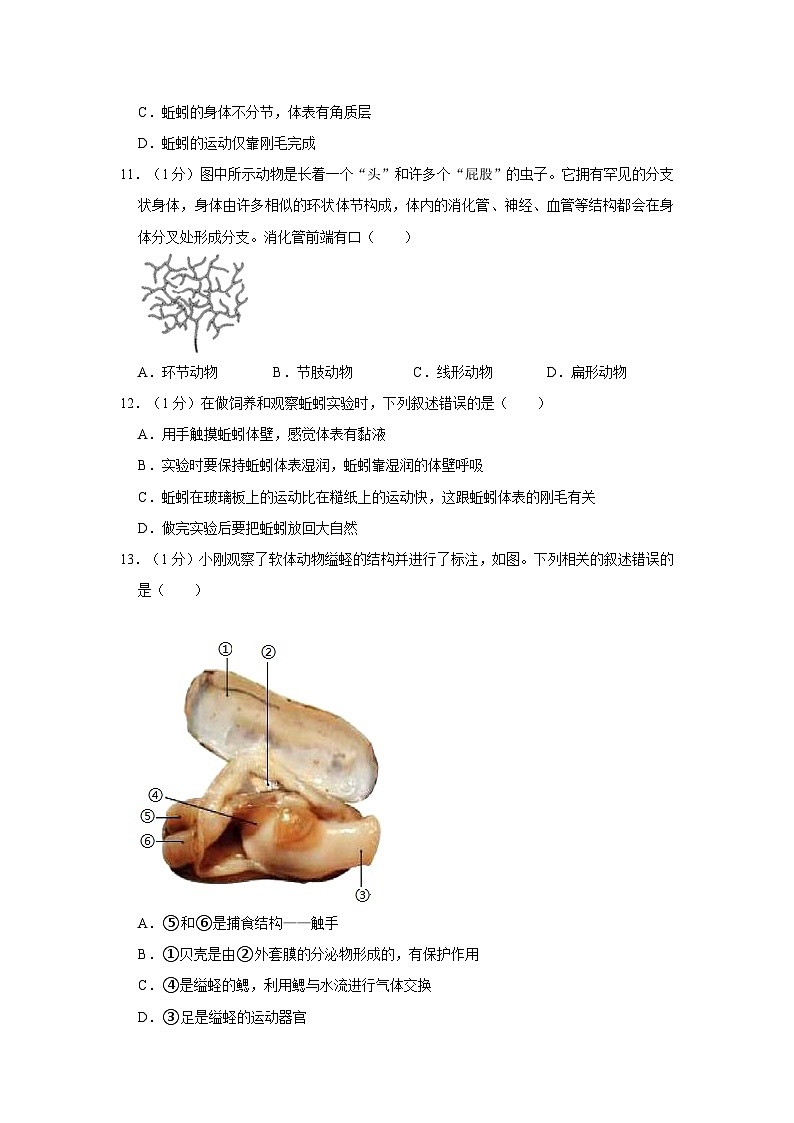 陕西省西安市庆安中学2023-2024学年八年级上学期10月份月考生物试卷第3页