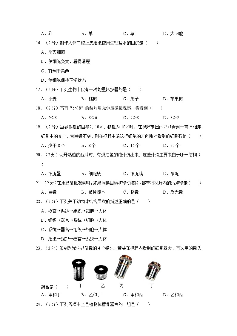 甘肃省陇南市康县阳坝中学2023-2024学年七年级上学期期中生物试卷第3页