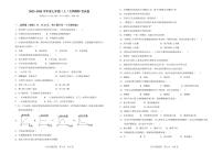 辽宁省阜新市实验中学2023-2024学年七年级上学期11月期中生物试题