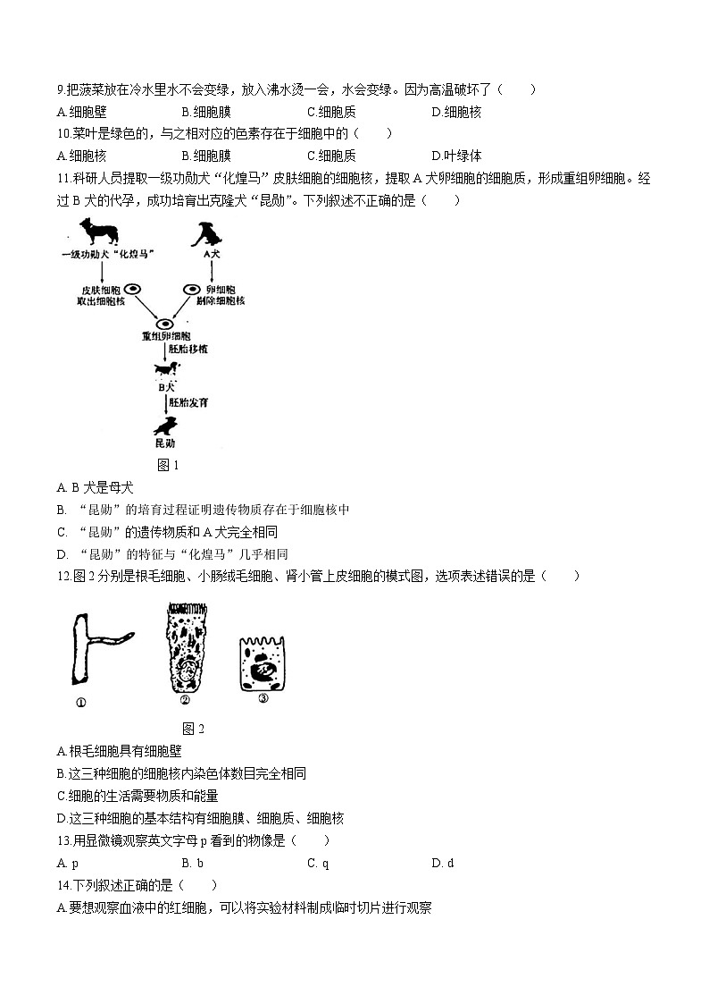 吉林省白城市通榆县第九中学校联考2023-2024学年七年级上学期期中生物试题第2页