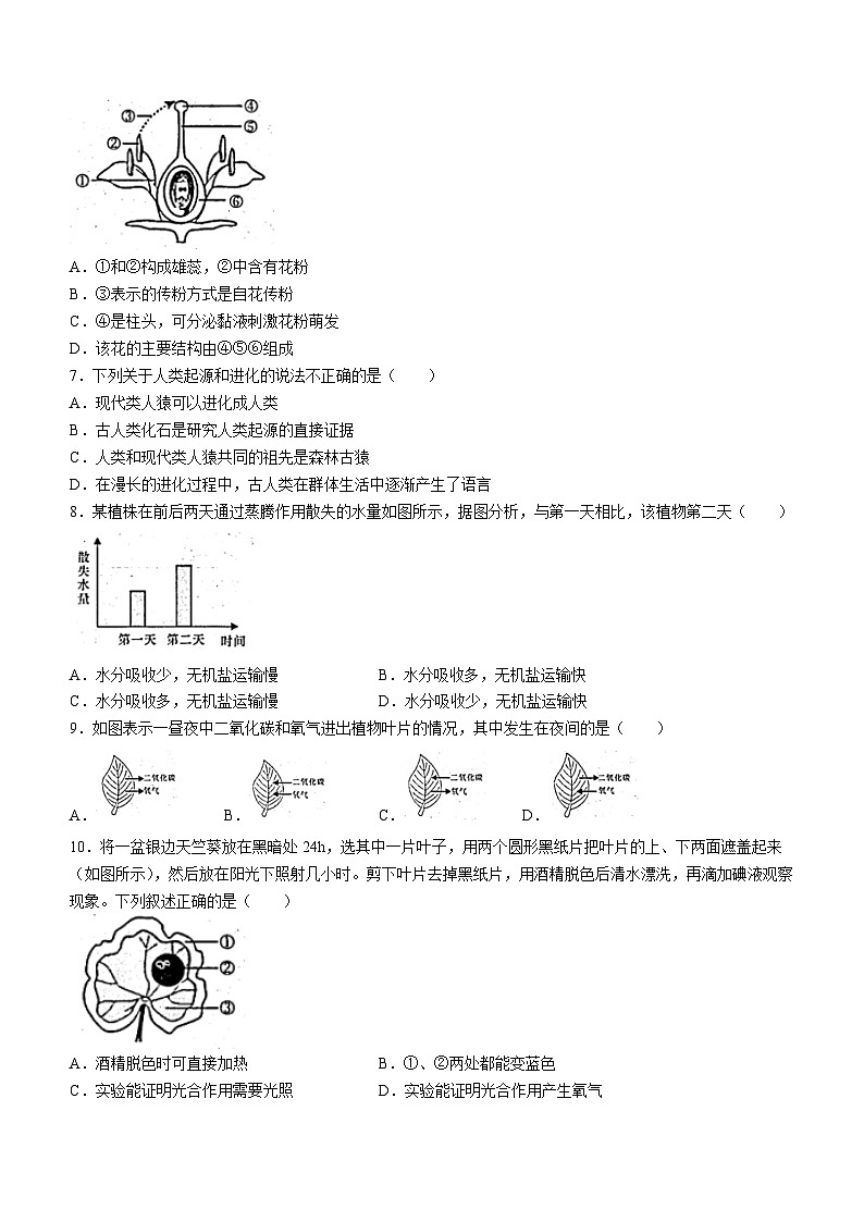 甘肃省陇南市礼县部分校2023-2024学年九年级上学期期中生物试题02