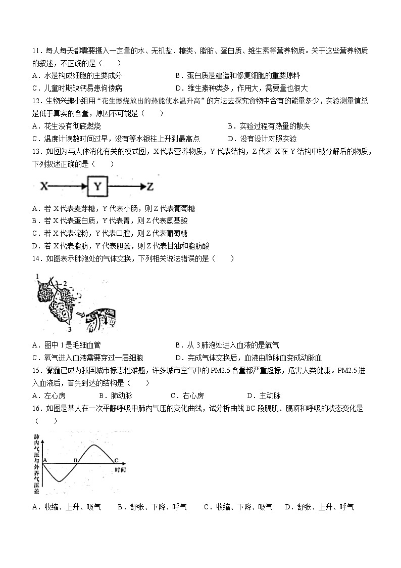 甘肃省陇南市礼县部分校2023-2024学年九年级上学期期中生物试题03
