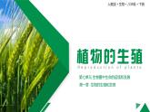 【核心素养】人教版初中生物八年级下册7.1.1《植物的生殖》课件+教案+课时练习（含教学反思和答案）