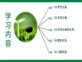 【核心素养】人教版初中生物八年级下册7.1.1《植物的生殖》课件+教案+课时练习（含教学反思和答案）