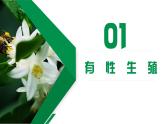 【核心素养】人教版初中生物八年级下册7.1.1《植物的生殖》课件+教案+课时练习（含教学反思和答案）