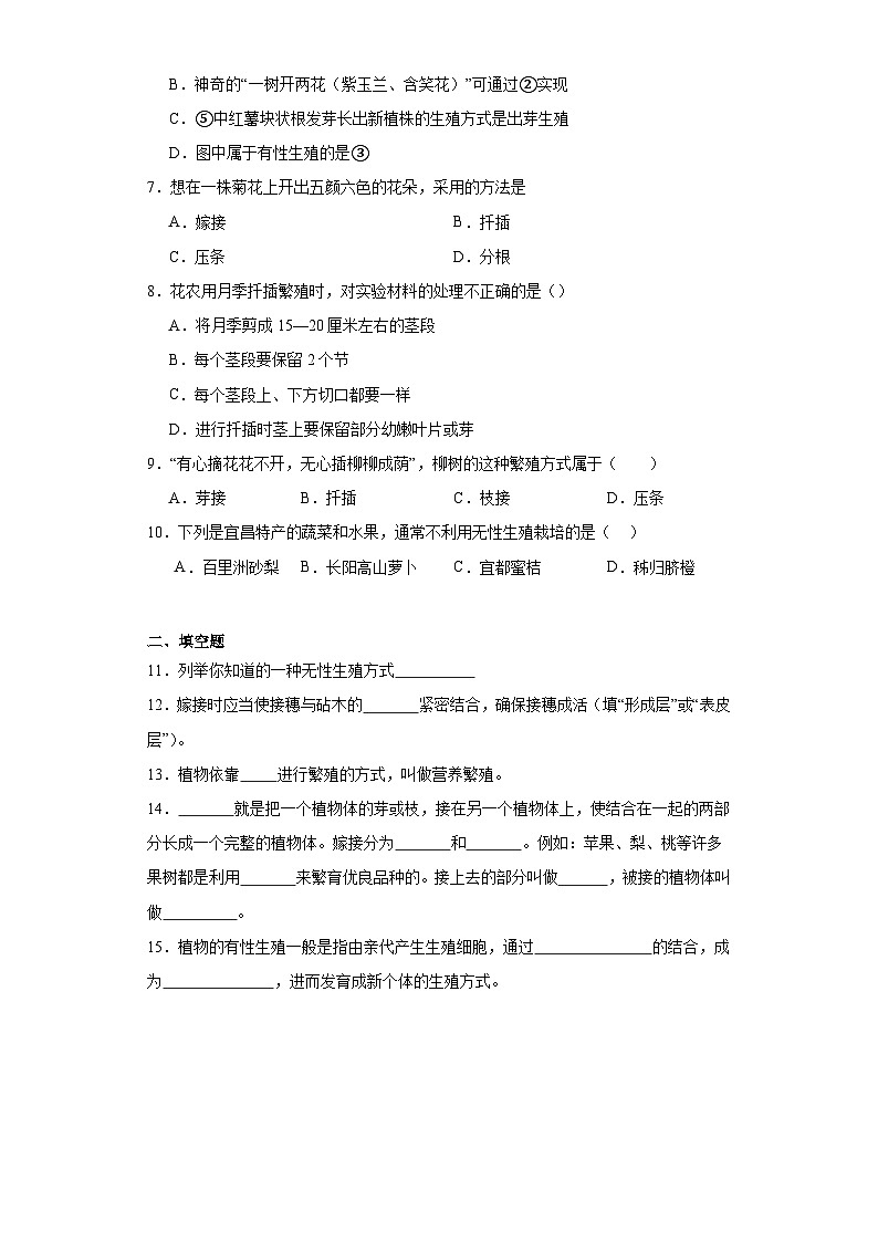 【核心素养】人教版初中生物八年级下册7.1.1《植物的生殖》课件+教案+课时练习（含教学反思和答案）02