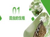 【核心素养】人教版初中生物八年级下册7.1.2《昆虫的生殖和发育》课件+教案+课时练习（含教学反思）